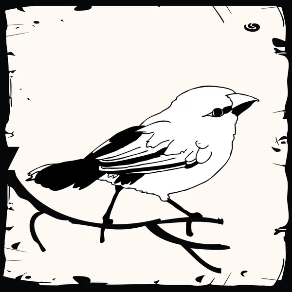 Kleine Vogel-Illustration — Stockvektor