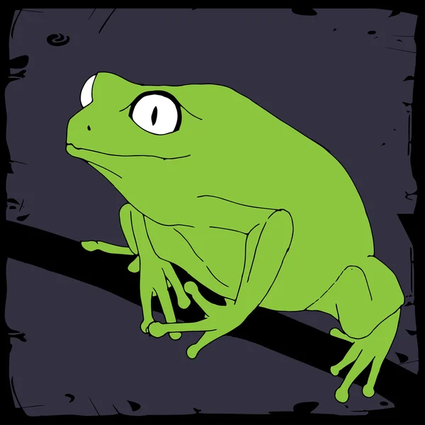 Illustration grenouille — Image vectorielle