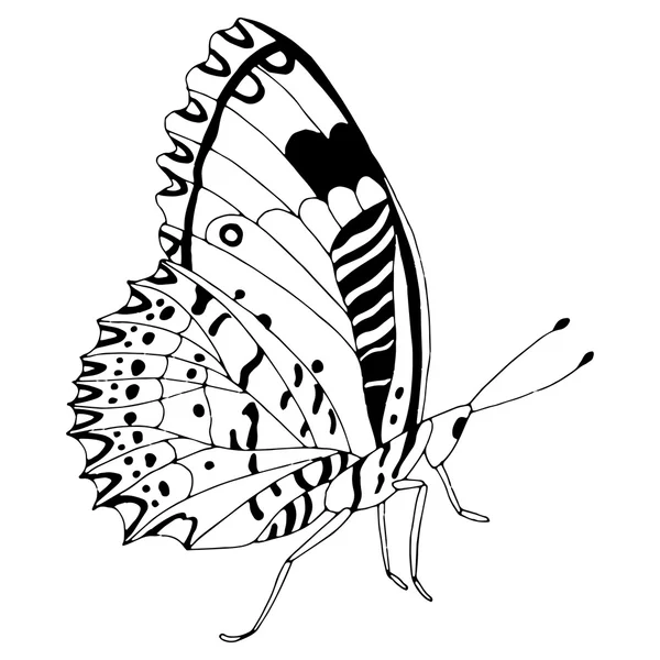 Papillon noir et blanc — Image vectorielle