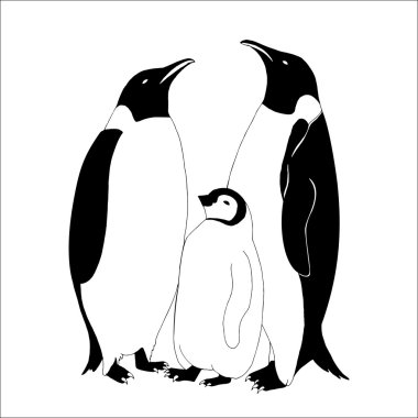 Penguin family clipart