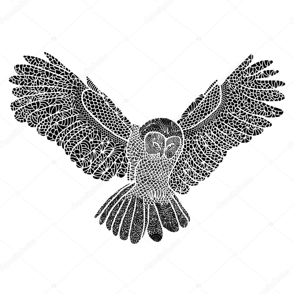 Owl flying black and white