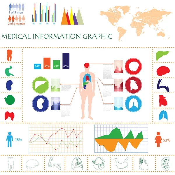 Human body with internal organs — Stock Vector