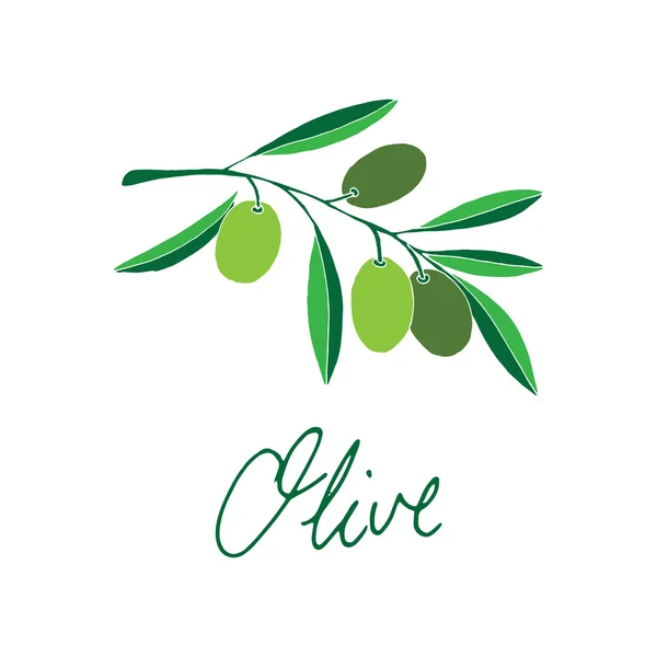 Green Olive — Stock Vector