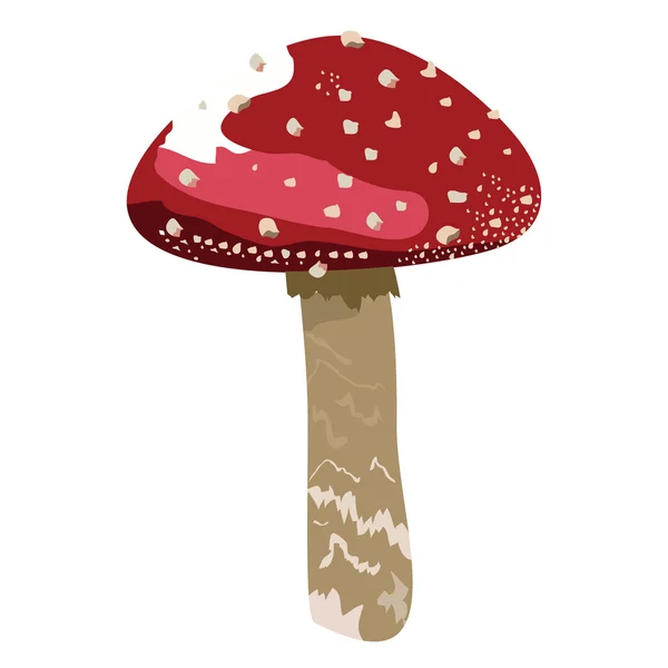 Red mushroom — Stock Vector
