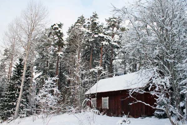 Casa in una foresta innevata — Foto Stock