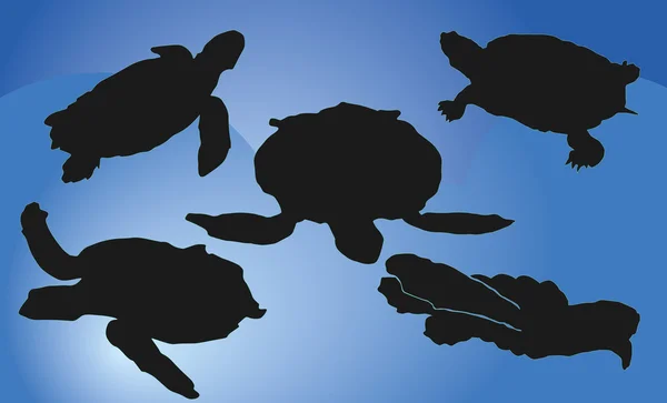 kaplumbağaları Silhouettes