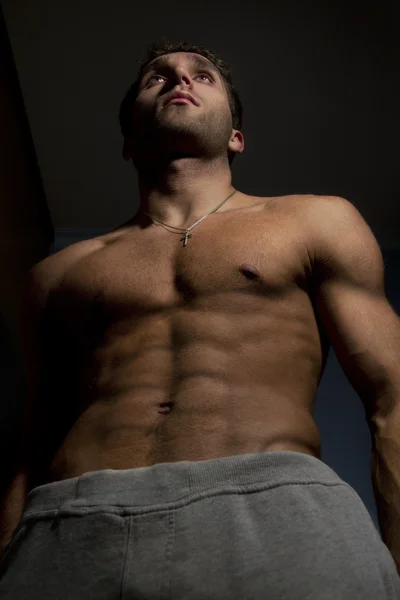 Retrato de sexy muscular homem posando no estúdio Imagem De Stock