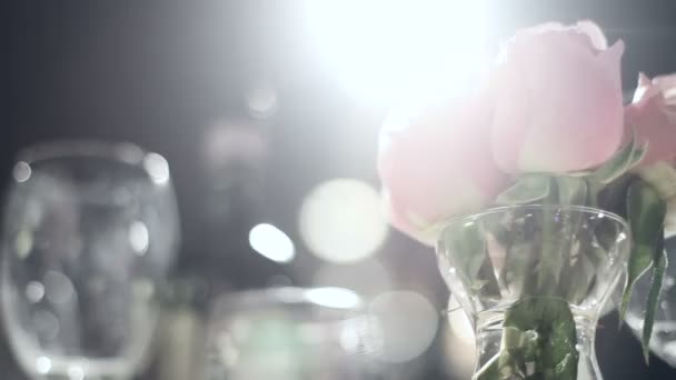화이트 컬러로 게재 연회의 아름 다운 클립 — 비디오