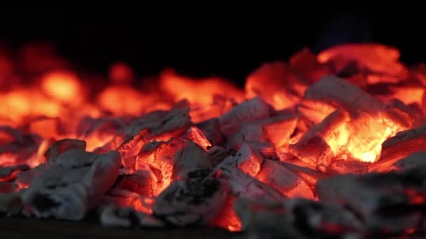 Nahaufnahme von glühend roten Kohlen — Stockvideo