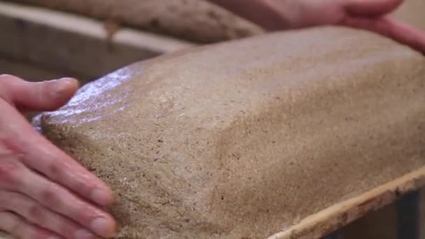 Imágenes cercanas del hombre haciendo pan con masa — Vídeo de stock