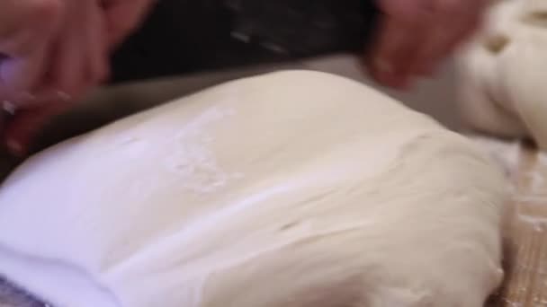 Close footage of raw dough, divide into pieces — Stock Video