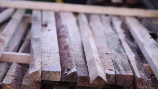 Beelden van hout planken leugen buiten — Stockvideo