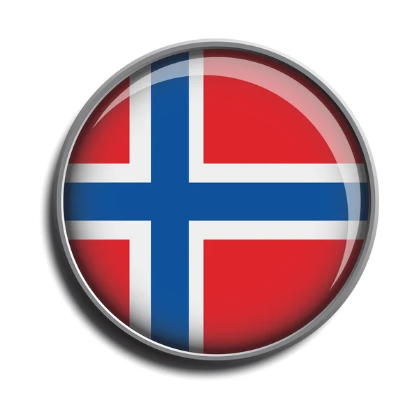 Flagga icon webben knappen Norge — Stock vektor