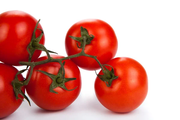 Rode tomaten op een tak — Stockfoto