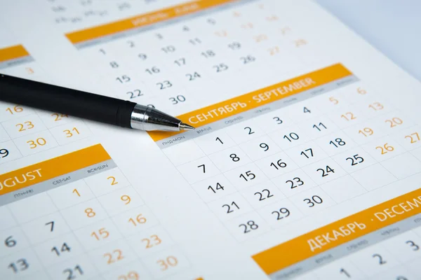 Penna nera sdraiata sul calendario — Foto Stock