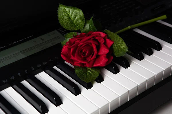 Piano toetsen en roze bloem — Stockfoto