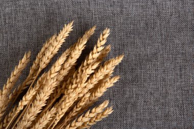ears of wheat bouquet on gray sackcloth top view