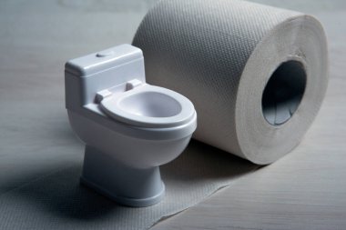 Tuvalet maketi maketinde tuvalet kağıdı rulosu var. Yakın plan.