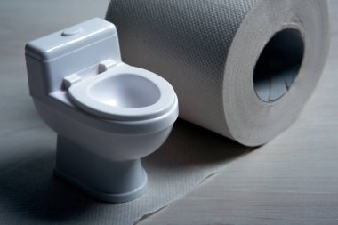 Tuvalet maketi maketinde tuvalet kağıdı rulosu var. Yakın plan.