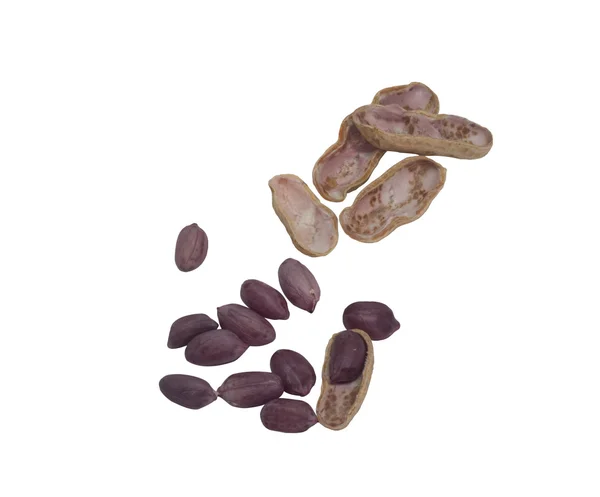 Lentil and nut shel — Stock Photo, Image