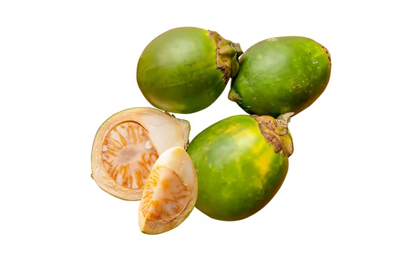 tembul palm, areca catech