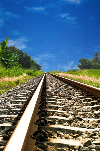 Railroad track — Stock Photo, Image