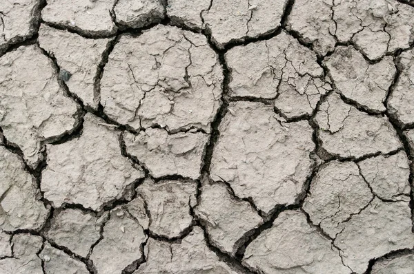 Een gebied van droge grond voor een droogte concept of metafoor. — Stockfoto