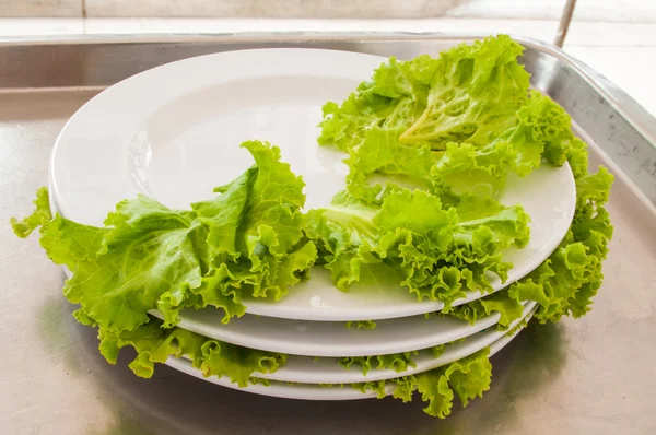 atık bitkisel kullanacağını yığını