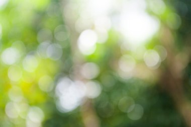 defocused ışık bulanık