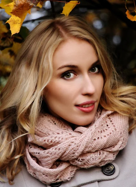 Beautiful woman autumn backgrounds — Stock Photo, Image