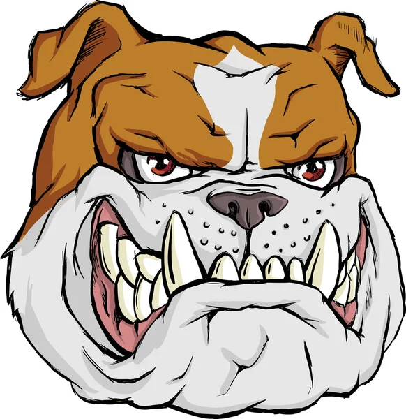 Brown bulldog — Stock Vector