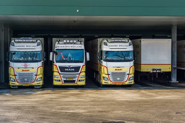 Camiones Daf Man Bakkerij Holland Estacionados Los Muelles Centro Distribución — Foto de Stock