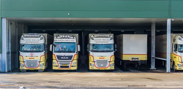 Camioane Bakkerij Holland Parcate Docul Depozitului Roosendaal Olanda Ianuarie 2019 — Fotografie, imagine de stoc