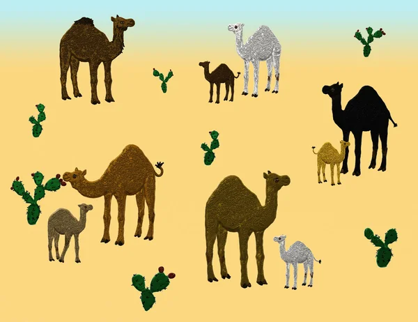 Camel family — Stock Photo, Image