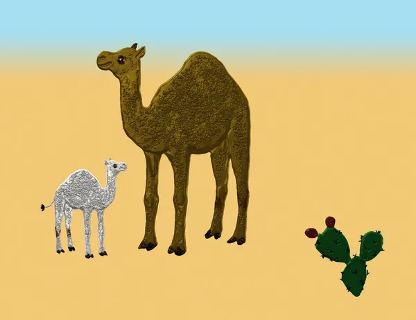Camel in the desert — Stock Photo, Image