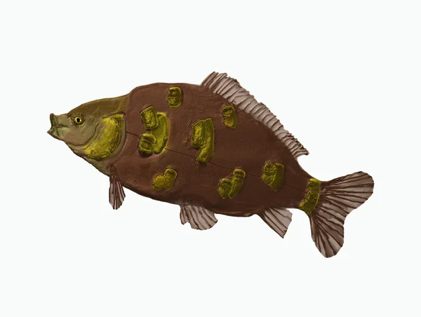 Karpfenfische — Stockfoto