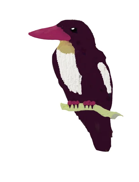 红嘴鸟 — 图库照片