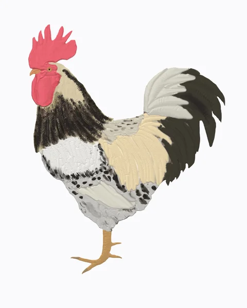 Big rooster — Stock Photo, Image