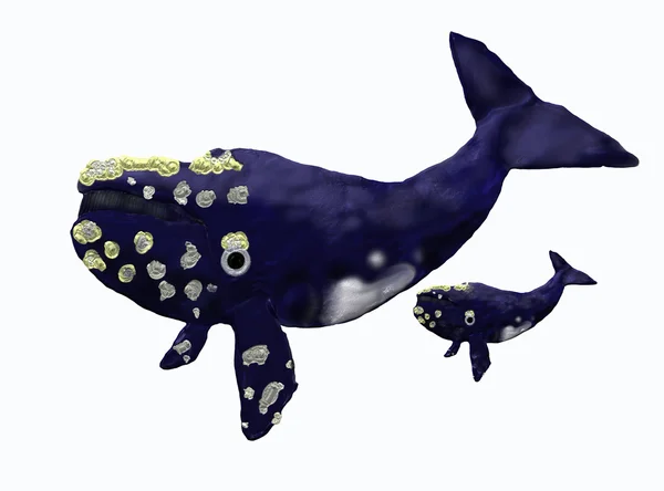 Moeder walvis — Stockfoto