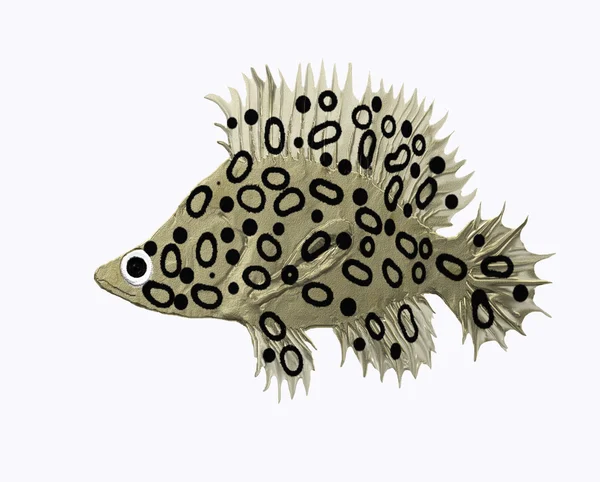 Leopard fisk — Stockfoto