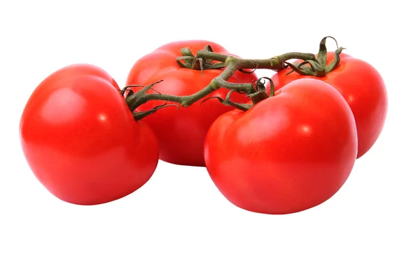 Tomatoes — Stock Photo, Image