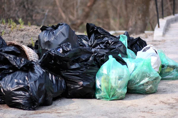 Garbage in the forest Stock Photo