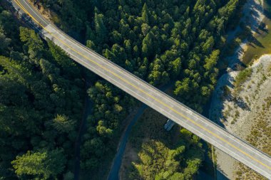 Drone, nehir yatağı ve orman üzerindeki bir köprünün havadan görüntüsü.