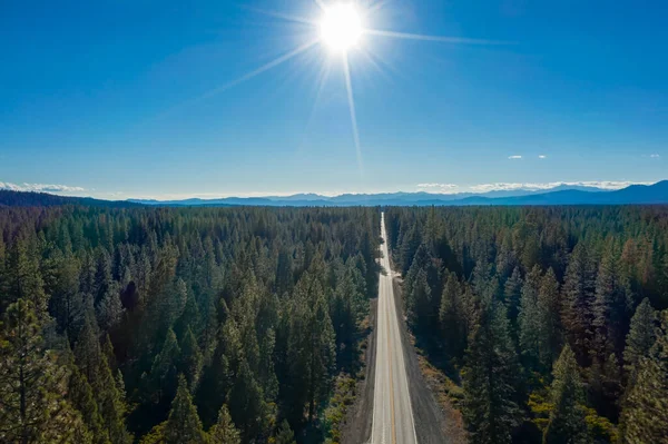 Aerial Drone View Long Winding Road Middle Pine Tree Forest — стоковое фото