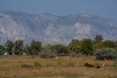 Birleşik Devletler 'in güneybatı bölgesinin kırsal kesiminin görüntüsü.