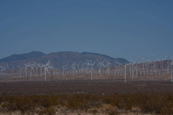 Champs Éoliennes Énergie Verte Dans Les Collines Californie Aux États — Photo