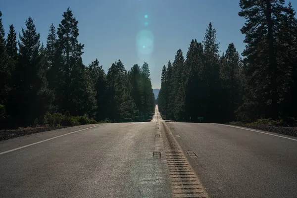 Длинная Извилистая Дорога Лесах Калифорнии — стоковое фото