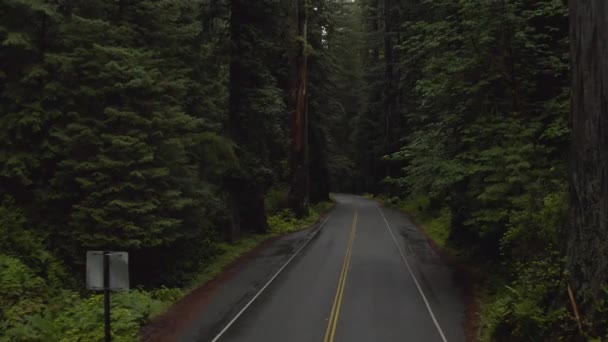 Dron přelétající přes silnici lesem Oregonu v USA