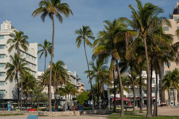 Art Deco South Beach Group Palm Trees Foreground — Stock fotografie