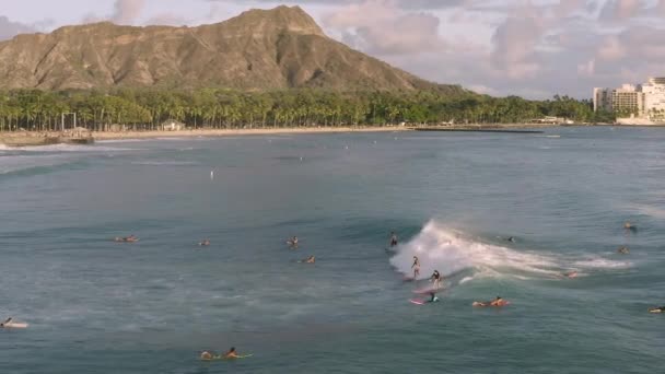 Group Surfers Catching Waves Sunset Waikiki Beach Diamond Head Background — Wideo stockowe